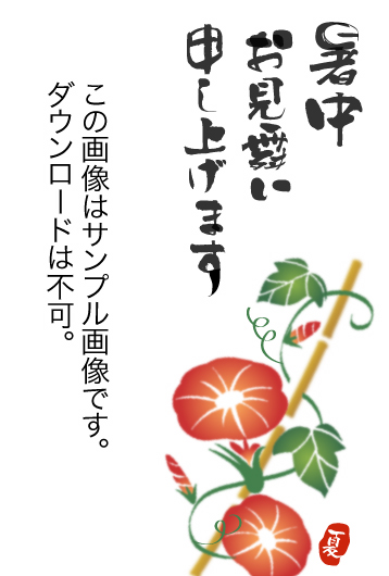 暑中見舞いを兼ねたお礼状 朝顔1 お礼の手紙の書き方